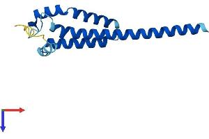 Transmembrane Protein 18 (TMM18) (AA 1-140) protein (His tag)