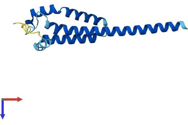 Transmembrane Protein 18 (TMM18) (AA 1-140) protein (His tag)