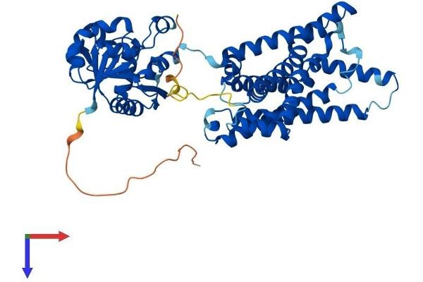 STEAP3 Protein (AA 1-488) (His tag)
