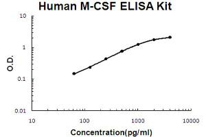 Human M-CSF Accusignal ELISA Kit Human M-CSF AccuSignal ELISA Kit standard curve.