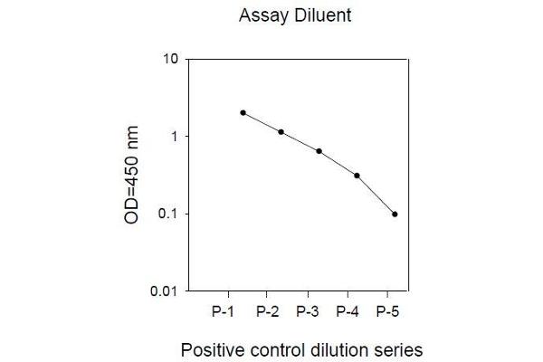 STAT6 ELISA Kit