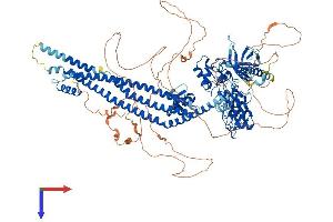 ASAP1 Protein (AA 1-1147) (His tag)