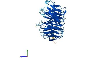 AlphaFold protein structure predicition of Mouse Recombinant Gnb1l Protein, UniprotID Q9EQ15