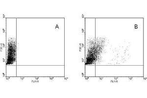 Flow Cytometry (FACS) image for anti-Toll-Like Receptor 9 (TLR9) (AA 1-815), (Extracellular Domain), (N-Term) antibody (FITC) (ABIN1106226)