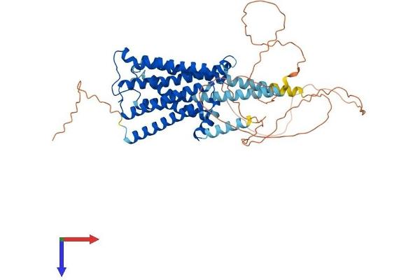 CHRM5 Protein (AA 1-532) (His tag)