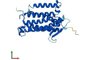 Protein Structure (PS) image for Alkaline Ceramidase 1 (ACER1) (AA 1-264) protein (His tag) (ABIN7551769)