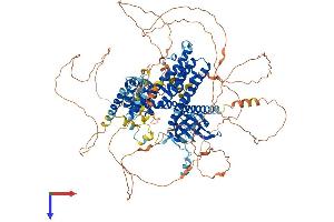 PLEKHG5 Protein (AA 1-1073) (His tag)