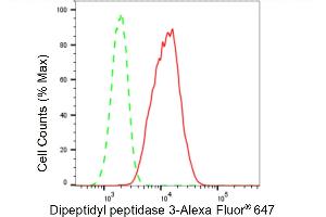 Flow cytometric analysis of Dipeptidyl peptidase 3 expression in H9c2 cells using Dipeptidyl peptidase 3 antibody (ABIN7798344), 1:2,000). (Rekombinanter DPP3 Antikörper)