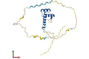Protein Structure (PS) image for Homeobox B4 (HOXB4) (AA 1-250) protein (His tag) (ABIN7562824)