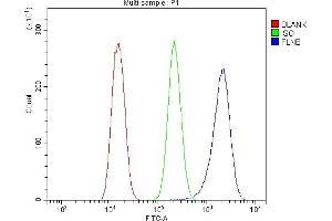 Flow Cytometry analysis of U20S cells using anti-Filamin B/FLNB antibody (ABIN7601607).