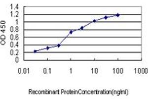 Detection limit for recombinant GST tagged UBB is approximately 0. (Ubiquitin B Antikörper  (AA 1-76))