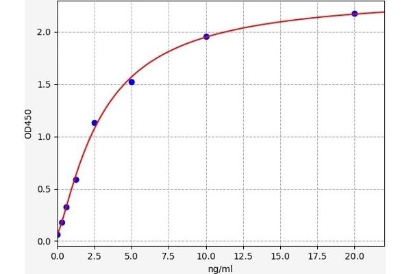 ATP6AP2 ELISA Kit