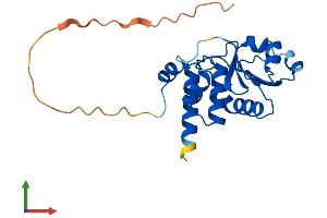 Protein Structure (PS) image for Dual Specificity Phosphatase 26 (DUSP26) (AA 1-211) protein (His tag) (ABIN7561061)