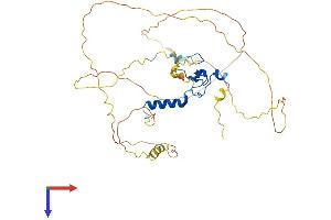 PHF23 Protein (AA 1-401) (His tag)