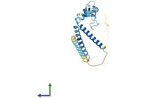 Protein Structure (PS) image for Retinitis Pigmentosa 9 (Autosomal Dominant) (RP9) (AA 1-221) protein (His tag) (ABIN7551542)