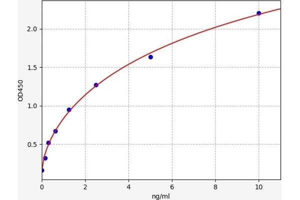 SLC25A4 ELISA Kit