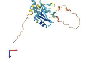 SOCS3 Protein (AA 1-225) (His tag)
