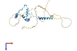 SAP30BP Protein (AA 1-308) (His tag)