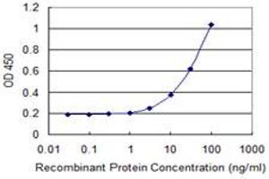 Detection limit for recombinant GST tagged RPS9 is 1 ng/ml as a capture antibody. (RPS9 Antikörper  (AA 82-171))