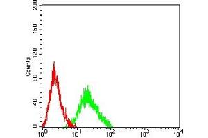 Flow cytometric analysis of HL-60 cells using CHRM5 mouse mAb (green) and negative control (red). (CHRM5 Antikörper)