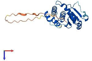 DUSP26 Protein (AA 1-211) (His tag)