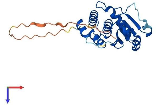 DUSP26 Protein (AA 1-211) (His tag)
