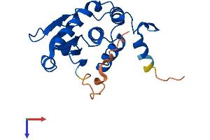 DUSP14 Protein (AA 1-198) (His tag)
