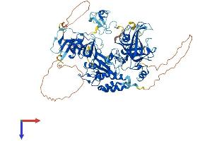 UHRF2 Protein (AA 1-802) (His tag)