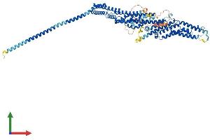 Protein Structure (PS) image for Exocyst Complex Component 7 (EXOC7) (AA 1-697) protein (His tag) (ABIN7562292)