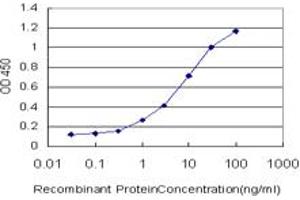 Detection limit for recombinant GST tagged PCDHB3 is approximately 0.