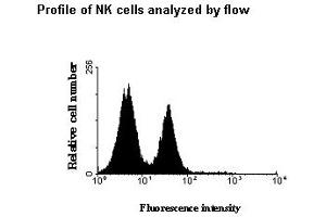 Image no. 1 for anti-Killer Cell Immunoglobulin-Like Receptor, Two Domains, Long Cytoplasmic Tail, 3 (KIR2DL3) (AA 19-161) antibody (ABIN165424) (KIR2DL3 Antikörper  (AA 19-161))
