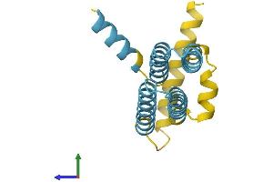 AlphaFold protein structure predicition of Human Recombinant SFT2D1 Protein, UniprotID Q8WV19
