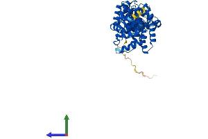 Protein Structure (PS) image for Basic Leucine Zipper and W2 Domains 1 (BZW1) (AA 1-419) protein (His tag) (ABIN7560529)