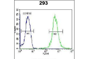 Flow cytometric analysis of 293 cells (right histogram) compared to a negative control cell (left histogram). (WDR48 Antikörper  (C-Term))