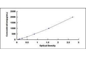ELISA image for Erythropoietin (EPO) ELISA Kit (ABIN414175)