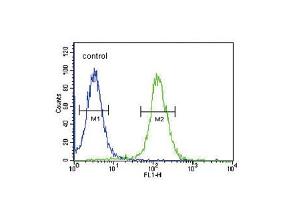 Flow cytometric analysis of 293 cells (right histogram) compared to a negative control cell (left histogram). (Neuropeptide FF Antikörper  (C-Term))