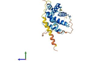 AlphaFold protein structure predicition of Human Recombinant BCL2 Protein, UniprotID P10415 (Bcl-2 Protein (AA 1-239) (His tag))