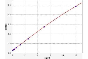 Absent in Melanoma 2 (AIM2) ELISA Kit