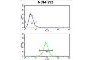 DNM3 Antibody (Center) (ABIN652780 and ABIN2842512) flow cytometry analysis of NCI- cells (bottom histogram) compared to a negative control cell (top histogram). (Dynamin 3 Antikörper  (AA 557-584))