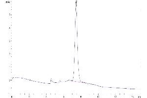 The purity of Human KIR3DL3 is greater than 95 % as determined by SEC-HPLC.