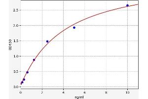 Chymotrypsin-Like Elastase Family, Member 1 (CELA1) ELISA Kit