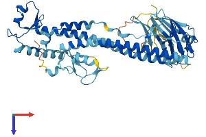 TRIM43B Protein (AA 1-445) (His tag)