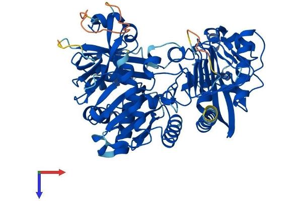 FPGT Protein (AA 1-590) (His tag)