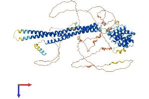 ARHGAP44 Protein (AA 1-814) (His tag)