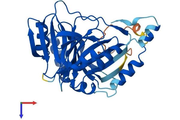 GLOD4 Protein (AA 1-313) (His tag)