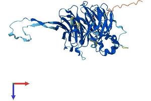 PPP2R2D Protein (AA 1-453) (His tag)