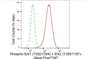 Flow cytometric analysis of Phospho-Erk1 (T202/Y204) + Erk2 (T185/Y187) expression in C2C12 cells using Phospho-Erk1 (T202/Y204) + Erk2 (T185/Y187) antibody (ABIN7799453), 1:(ABIN7798691).