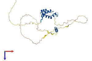 TGIF1 Protein (AA 1-272) (His tag)