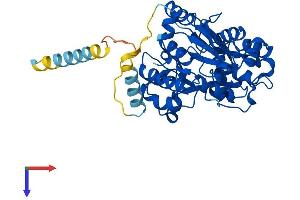 GCNT2 Protein (AA 1-401) (His tag)
