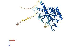 Septin 3 Protein (SEPT3) (AA 1-350) (His tag)